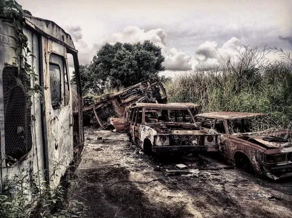 Abandoned vehicles in the Caroni distillery yard, reclaimed by nature