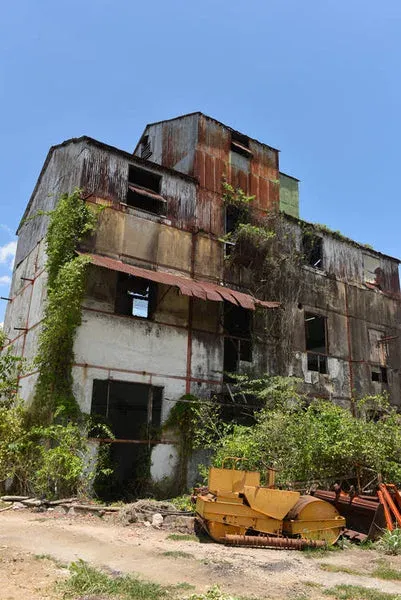 Casks stored in the abandoned warehouse of the Caroni distillery