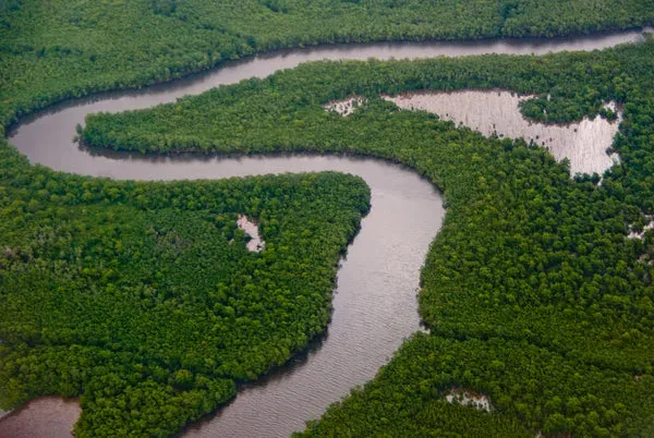 The Caroni plain and swamp in Trinidad, a landscape of water and low vegetation